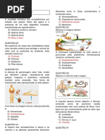 Questões - Verminoses II