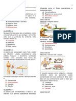 Questões - Verminoses II