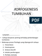 Fotomorfogenesis PDF
