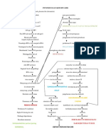 2.aPENYIMPANGAN KDM HIV