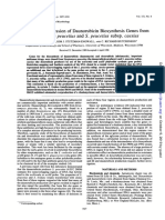 Journal of Bacteriology 1990 Otten 3427.Full