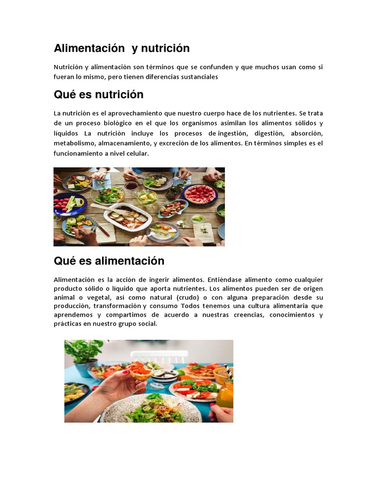 Alimentación y nutrición | Alimentos | Nutrición