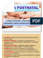 Etapa Post Natal