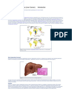 hepatocellular_carcinoma_liver_cancer.pdf