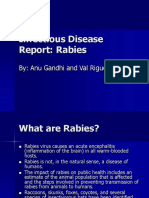 Rabies