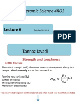 Ceramic Science 4RO3: Tannaz Javadi