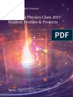 Final Year Physics Class 2017: Student Profiles & Projects