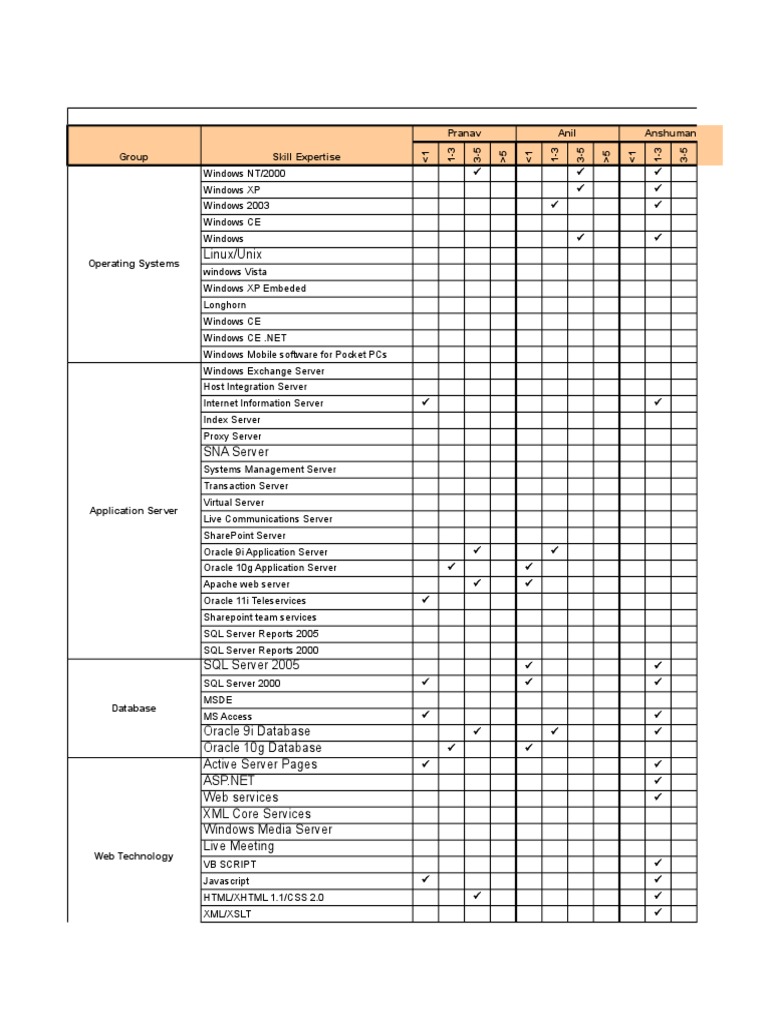 IT Skill Matrix Overview 2006 | PDF | Application Server | Web Server
