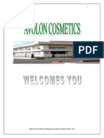 In-Plant Training Report on Avalon Cosmetics