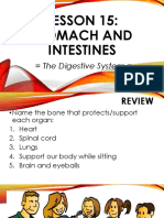 LESSON 15 - 1stomach and Intestines