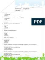 Vertebrates and Invertebrates PDF