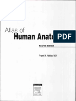 atlas human anatomy ciba netter.pdf