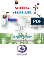 Sodium Sulphate Merge PDF