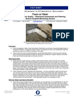 Foam on Water Fact Sheet