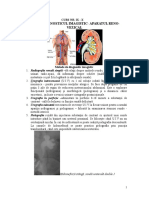 CURS 9 + 10 - Doc AP. RENO-VEZICAL