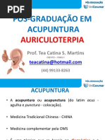 auriculoterapia estudo.pptx