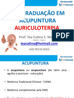 auriculoterapia estudo.pptx