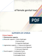 Anatomy of Female Genital Tract
