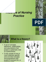 12 Theories of Nursing Practice