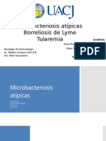 Micobacterias, Borrelia, Tularemia
