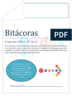BITACORAS ONDAS TIC.R.Nuñez-Policarpa-DENIS PATERNINA 06.docx