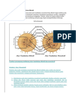 Biolog I