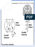 Motor Control - 5