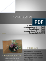 Kel5 Poliploid