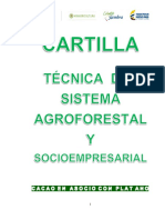 Técnicas de producción sostenible de cacao y plátano en asociación