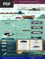 A Doll's House Infographic