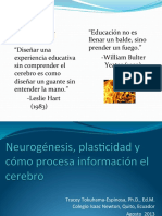Plasticidad Neuronal