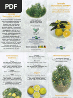 Laranja Salustiana Embrapa