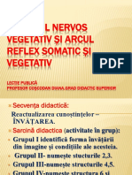 Sistemul Nervos Vegetativ Și Arcul Reflex Somatic Și