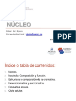 Tema 9 - Nucleo