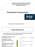 Transmissão Noradrenérgica