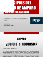 Principios del Juicio de Amparo en Materia Laboral.pdf