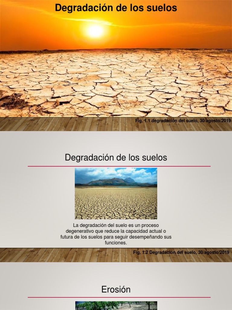 Causas y Consecuencias de la Degradación del Suelo | PDF | Erosión ...