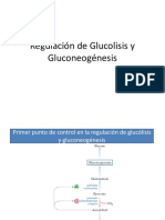 Regulacion de Glucolisis y Gluconeogenesis y Via de La Pentosa
