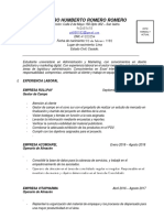 Modelo de CV Profesional