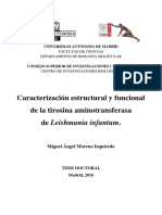 Tesis_Miguel_Angel_Moreno_UAM_pdf.pdf