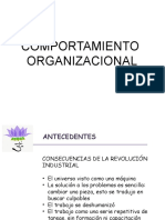 Psicologia Organizacional