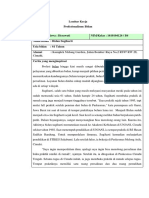 Profesional Bidan PDF
