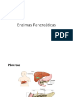 Metabolismo Do Pancreas