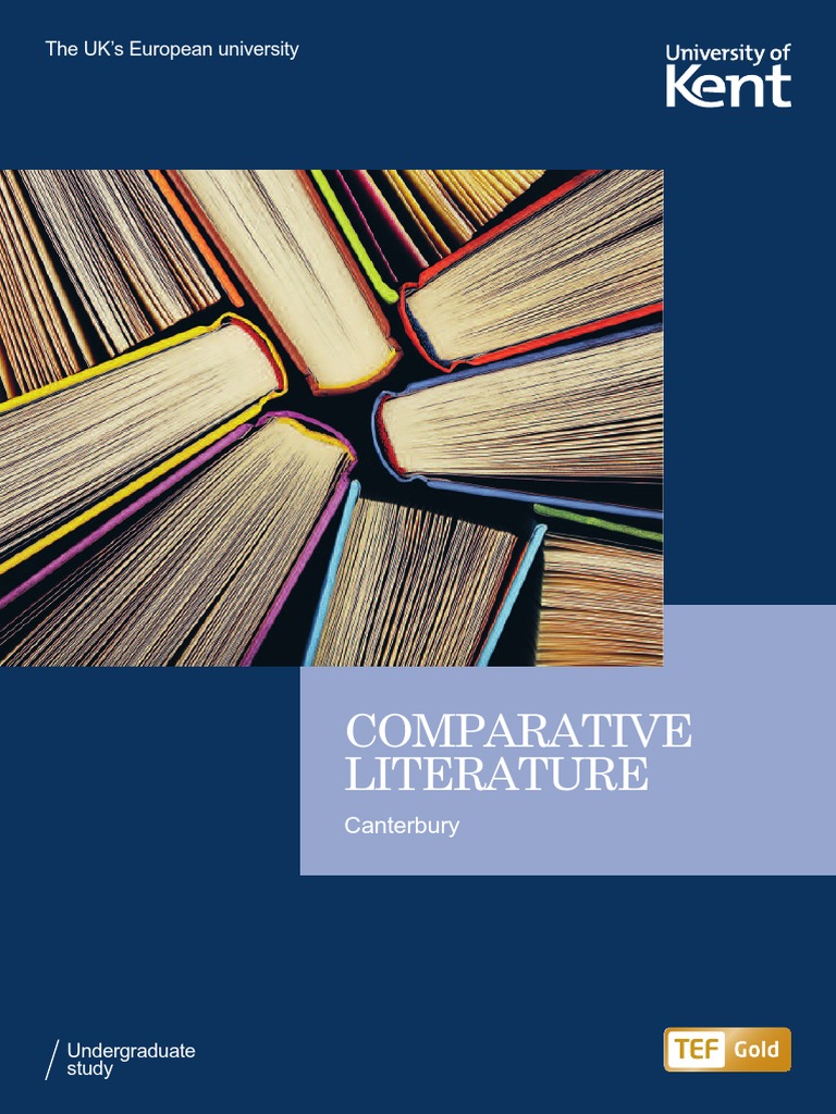 Comparative Literature Academic Degree Mentorship