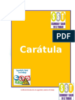 Cartilla de SST