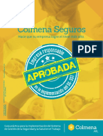 GuiapracticaparalaimplementaciondelSG-SST.PDF