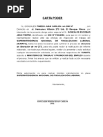 Carta Poder Simple
