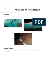 Butuan Oz Goose #1 Hole Repair: Damage