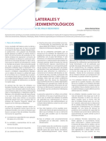 Embalses_laterales-y-sus-aspectos-sedimentológicos-Dr Rocha.pdf