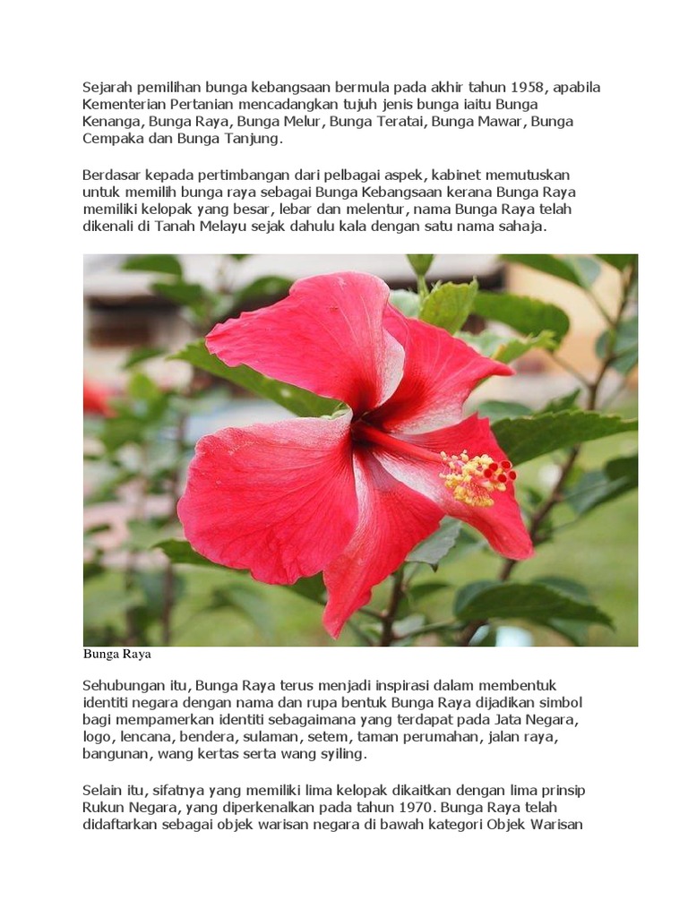 Kepupusan Bunga Raya | PDF